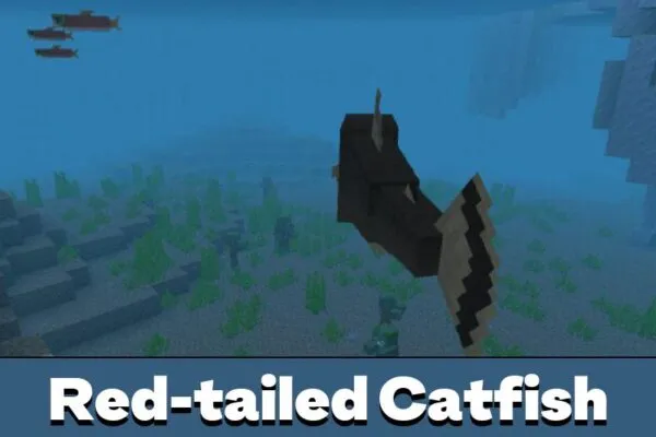 Red-tailed Catfish from River Monsters Mod for Minecraft PE