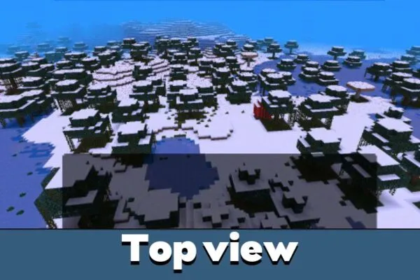 Top View from Cold Mod for Minecraft PE