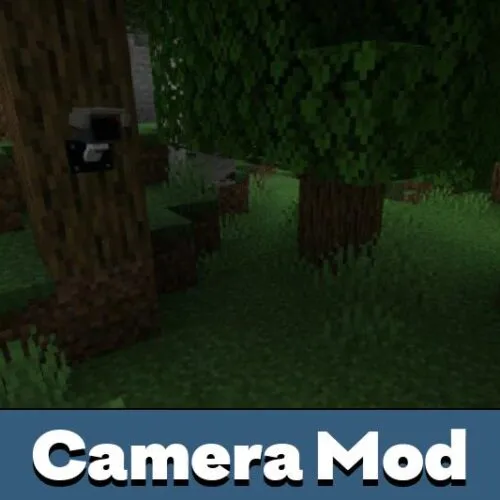 Camera Mod for Minecraft PE