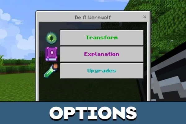 Options from Werewolf Mod for Minecraft PE
