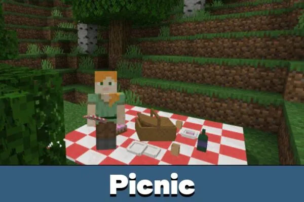 Picnic from TV Mod for Minecraft PE