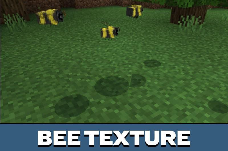 Hummingbird (bee) Minecraft Texture Pack