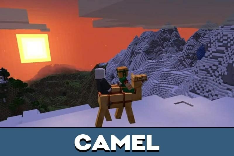 Download Minecraft PE 1.19.50.21 apk free: Camel and Bamboo