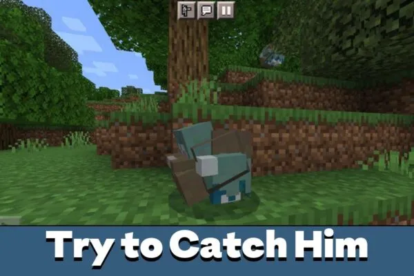 Catch Him from Rascal Mod for Minecraft PE