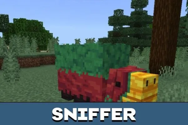 Sniffer in Minecraft PE 1.20