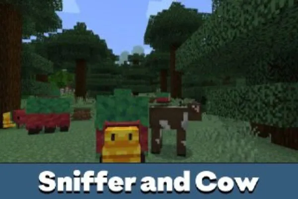 Sniffer and Cow from Sniffer Mod for Minecraft PE