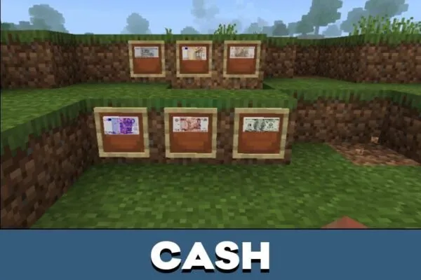 Cash from Money Mod for Minecraft PE