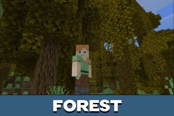 Forest from Seasons Mod for Minecraft PE