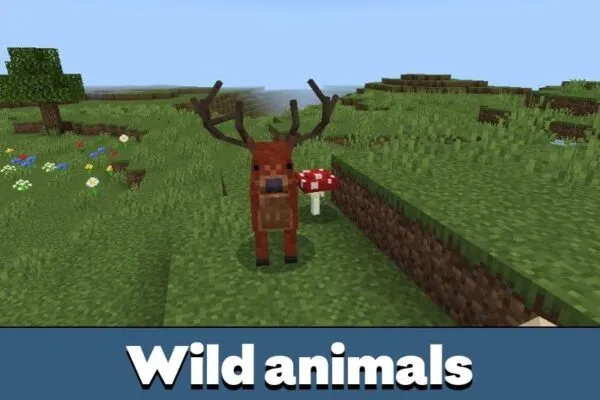 Wild Animals from Camping Mod for Minecraft PE