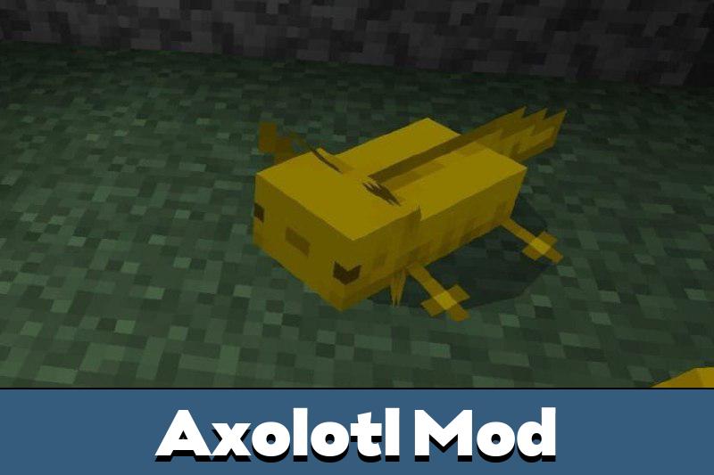 Download Axolotl Mod for Minecraft PE Axolotl Mod for MCPE