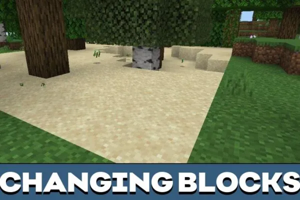 Changing Blocks from World Edit Mod for Minecraft PE