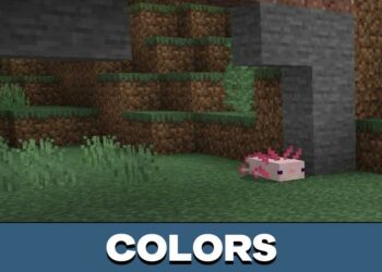 Download Axolotl Mod for Minecraft PE - Axolotl Mod for MCPE