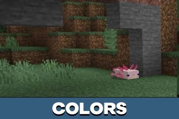 Colors from Axolotl Mod for Minecraft PE