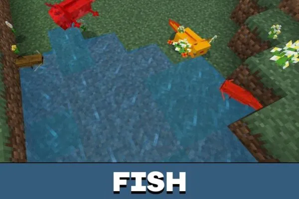 Fish from Axolotl Mod for Minecraft PE