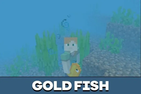 Gold Fish from Pet Mod for Minecraft PE