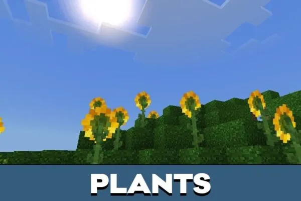 Plants from Console Shader for Minecraft PE