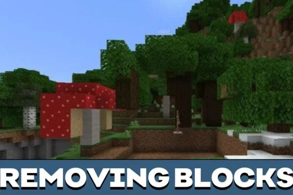 Removing Blocks from World Edit Mod for Minecraft PE