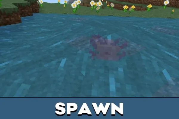 Spawn from Axolotl Mod for Minecraft PE