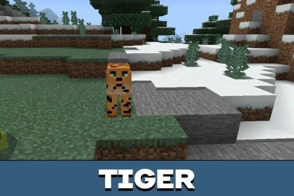 Tiger from Wild Animal Mod for Minecraft PE