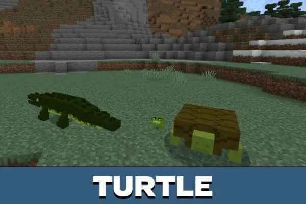 Turtle from Pet Mod for Minecraft PE