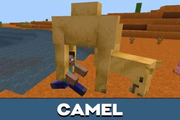 Camel from Pick Up and Carry Mod for Minecraft PE