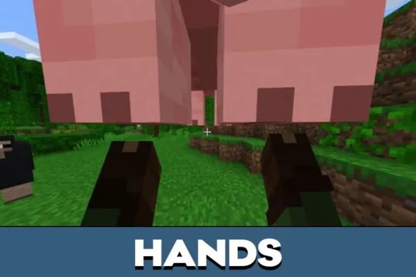 Hands from Pick Up and Carry Mod for Minecraft PE