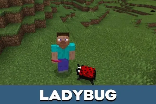 Ladybug from Bug Mod for Minecraft PE