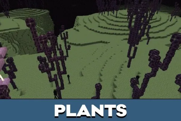 Plants from End City Map for Minecraft PE