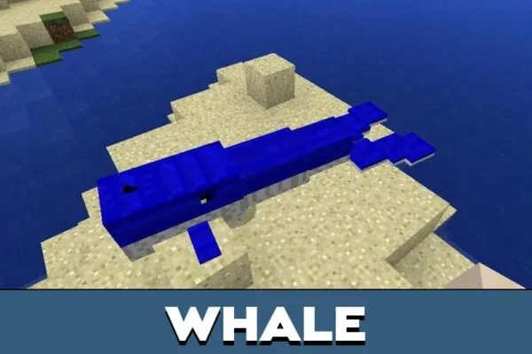 Whale from Octopus Mod for Minecraft PE