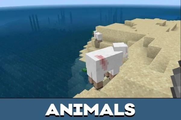 Animals from Crazy Craft Mod for Minecraft PE