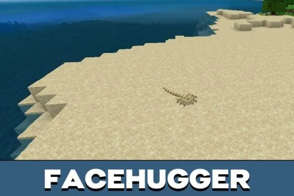 Facehugger from Xenocraft Mod for Minecraft PE