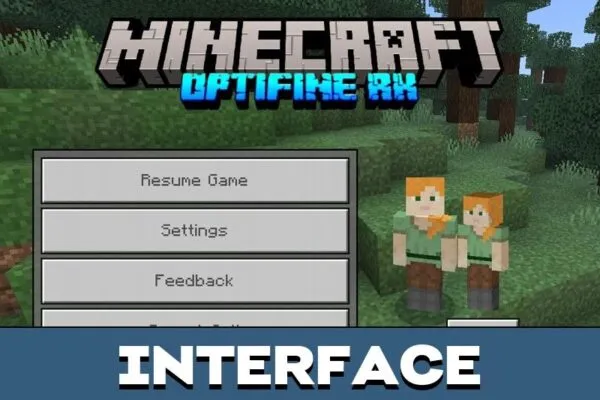 Interface from Optifine Texture Pack for Minecraft PE