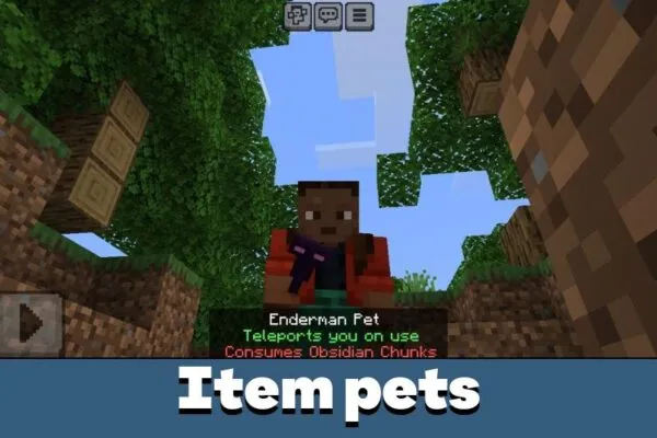 Item Pets from Pet Mod for Minecraft PE