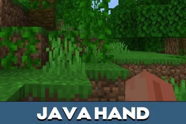 Java Hand from Hands Mod for Minecraft PE