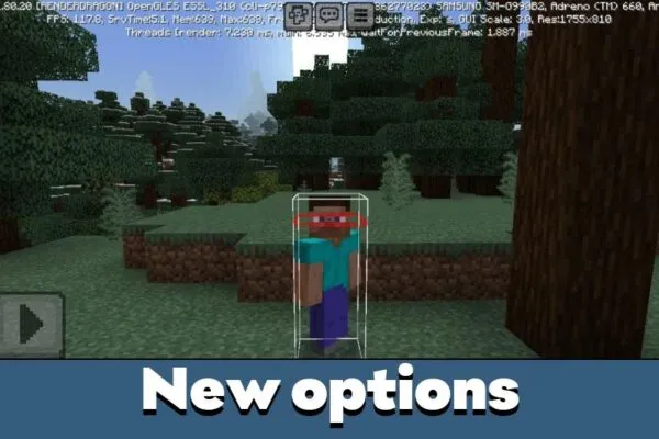 New Options from Player Hitbox Texture Pack for Minecraft PE