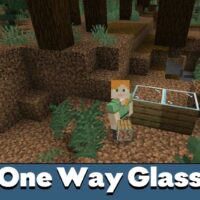 One Way Glass Mod for Minecraft PE