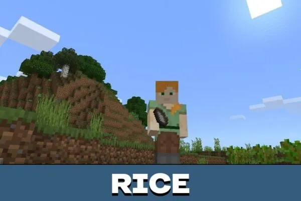 Rice from Plant Mod for Minecraft PE