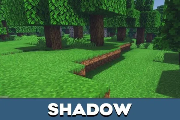 Shadow from Zebra Shader for Minecraft PE