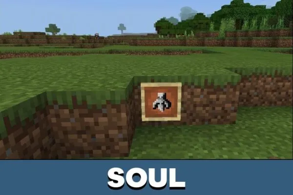 Soul from Multicraft Mod for Minecraft PE