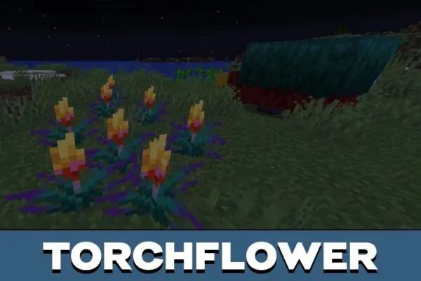 Torchflower from Minecraft PE 1.20