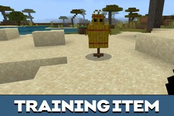 Training Item from Assassin Mod for Minecraft PE