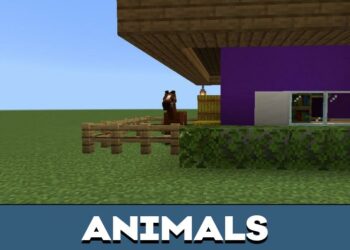 Download Aphmau Map for Minecraft PE - Aphmau Map for MCPE