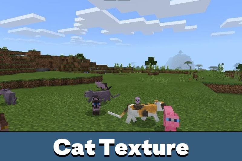 Where To Find Cats In Minecraft Pe