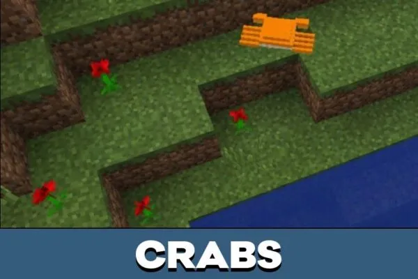 Crabs from Fish Mod for Minecraft PE