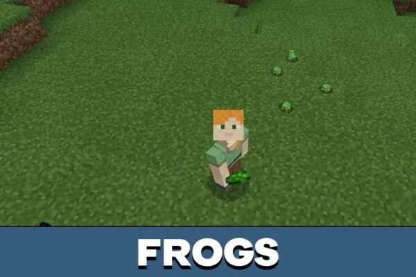 Frogs from Hamster Mod for Minecraft PE