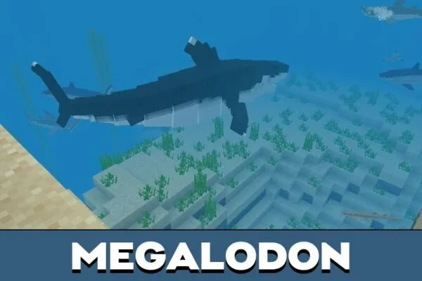 Megalodon from Fish Mod for Minecraft PE