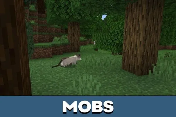 Mobs from Cat Texture Pack for Minecraft PE