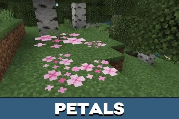 Petals from Cherry Biome Mod for Minecraft PE