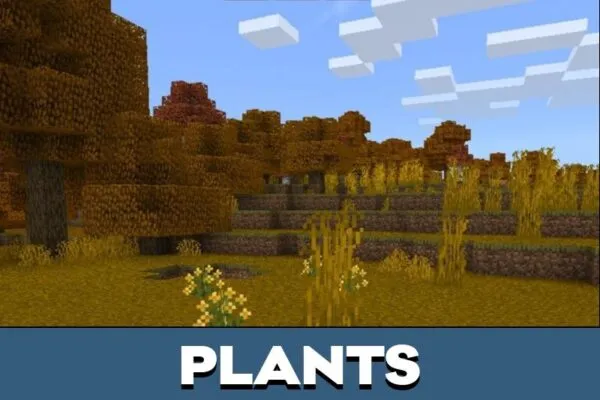 Plants from Autumn Texture Pack for Minecraft PE