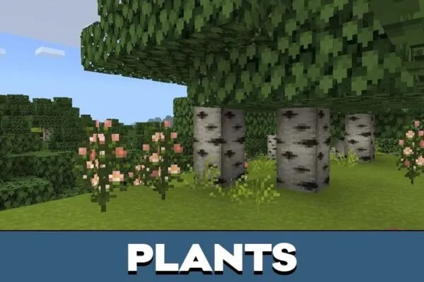 Plants from Mizunos 16 Craft Texture Pack for Minecraft PE